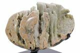 Sparkling Green Prasiolite Quartz Formation on Metal Stand #357221-3